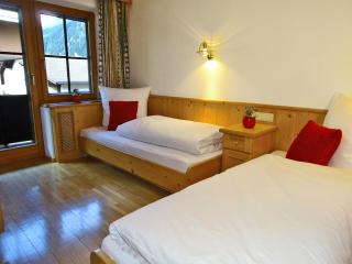 Appartements Windschnur by PiaundDirk - Mayrhofen - 9