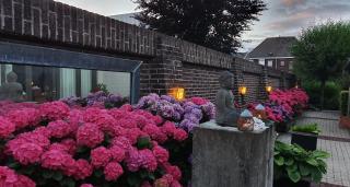 Downtown Hideaway, B&B Grand Deluxe - Eindhoven - 7