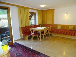 Appartements Windschnur by PiaundDirk - Mayrhofen - 5