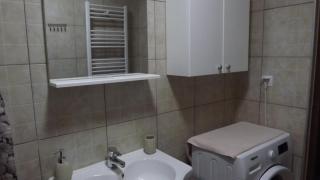 Casa de oaspeti Boga - Pietroasa - 3