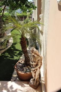Ivoton home - Paphos - 5