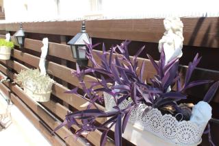 Ivoton home - Paphos - 1