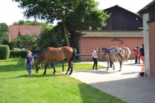 Reit- und Bauernhof Klaucke - 6