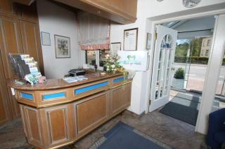 Garni Hotel Maselheimer Hof - Maselheim - 5