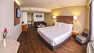 Holiday Inn Orizaba by IHG - Orizaba - 8