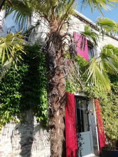 Le Cottage - Nantes - 1