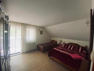Pensiunea Casa Domniței Sucevița - Suceviţa - 3