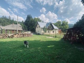 Pensiunea Casa Domniței Sucevița - 3