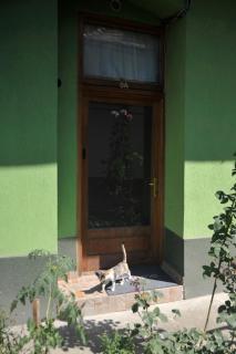 Atu Central Apartment - Cluj-Napoca - 5