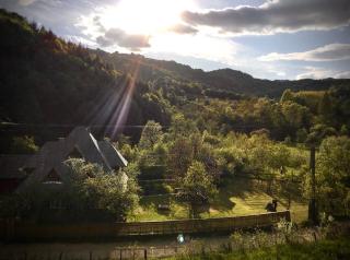 Valea Vinului Suite - Vişeu de Sus - 3