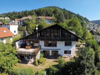 Haus Höhneck 1 - Alpirsbach - 0