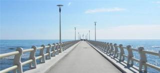La casina del Mare - Marina di Massa - 8