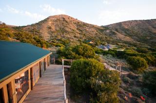 HillsNek Safari Camp – Amakhala Game Reserve - Amakhala Game Reserve - 5