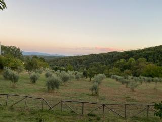 Agriturismo Borgo Serafino - Mangone - 3
