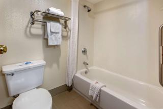 Comfort Inn - West Hazleton - 4