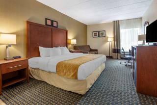 Comfort Inn - West Hazleton - 3