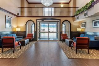 Comfort Suites Newark - Harrison - Newark - 7