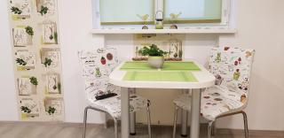 Green Apartman - Târgu-Mureş - 0