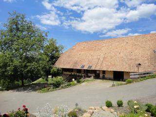 Urlaub im Herrenholz - Zell am Harmersbach - 9