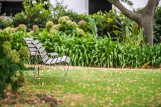 Excelsior Manor Guesthouse - Ashton - 4