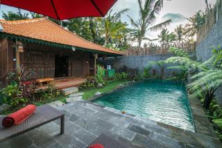 The Forest Villa Ubud - Ubud - 5