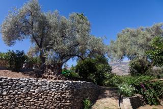 Cortijo el Azahar - Órgiva - 6