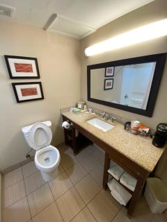 Comfort Inn Opelika - Auburn - 7