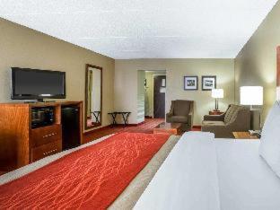 Comfort Inn Matthews / Charlotte - 4