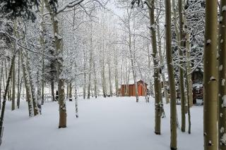 Happy Place Cabin - South Fork - 7