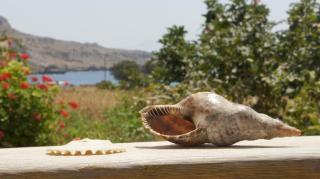Pleiades Apartments - Lefkos Karpathos - 7