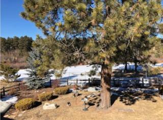 120 Winding Meadow by Vacation Rentals for You - Monument - 5