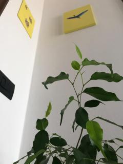 B&B dal Giotu - Gravellona - 2