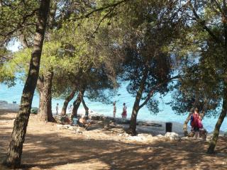 Happy Camp Mobile Homes in Brioni Sunny Camping - 5