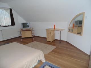 Casa Dancs - Covasna - 9