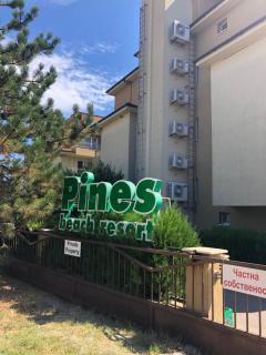 Tatiana Pines - Obzor - 0