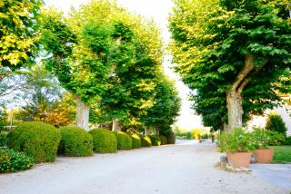 Domaine du Manoir - 8