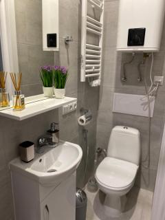 Homelike Apartment - Lviv - 6