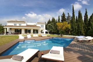 Modern Palmeras - Pollença - 0