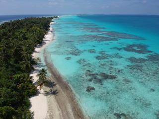Boutique Beach All Inclusive Diving Hotel - Dhigurah - 8