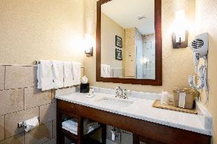 Comfort Suites Fishkill near Interstate 84 - Fishkill - 9