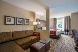 Comfort Suites Fishkill near Interstate 84 - Fishkill - 8