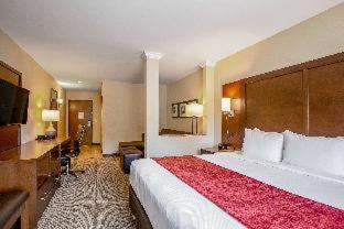 Comfort Suites Fishkill near Interstate 84 - Fishkill - 6