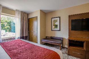 Comfort Suites Fishkill near Interstate 84 - Fishkill - 4