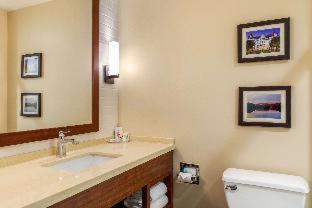 Comfort Inn & Suites Schenectady - Scotia - Schenectady - 9