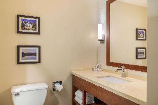 Comfort Inn & Suites Schenectady - Scotia - 4
