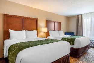 Comfort Inn & Suites Schenectady - Scotia - Schenectady - 1