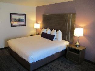 Best Western Plus Rapid City Rushmore - 5