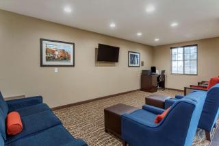 Comfort Suites - Clarksville - 5