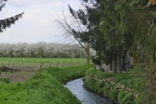 Meschermolen 14 - Mesch - 5