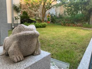Comfort - Bamberga - 1